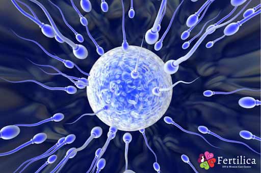 Unlocking the Power of Sperm Banking for Future Fertility