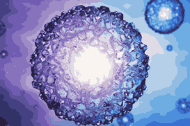 Blastocyst Culture for Improved IVF Success 