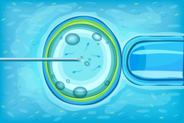 Calcium Ionophore Activation